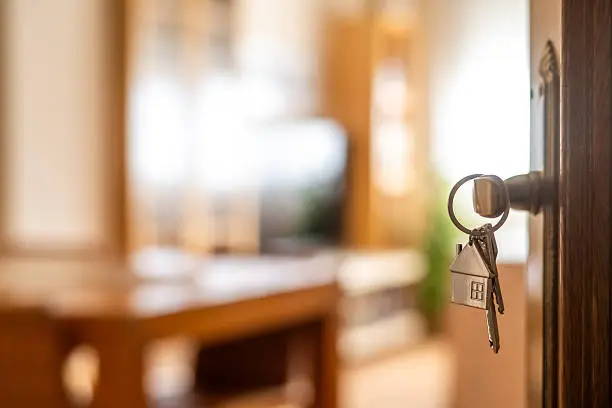 Top 10 Energy-Efficient Home Solutions Every Modern Homeowner Should Implement in 2025